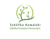 Projekt graficzny, nazwa firmy, tworzenie logo firm Nowe logo dla szkółki krzewów owoców - OkSun