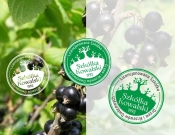 Projekt graficzny, nazwa firmy, tworzenie logo firm Nowe logo dla szkółki krzewów owoców - NewWorker