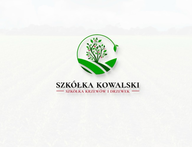 Projektowanie logo dla firm,  Nowe logo dla szkółki krzewów owoców, logo firm - pawelrogala88