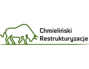 Projekt graficzny, nazwa firmy, tworzenie logo firm Logo dla firmy restrukturyzacyjnej - Karmelixq
