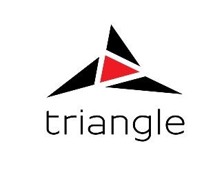 Projekt graficzny logo dla firmy online triangle