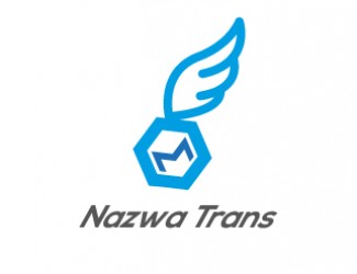 Projekt graficzny logo dla firmy online Paczka leci