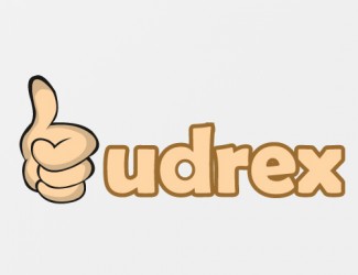 Projekt graficzny logo dla firmy online budrex