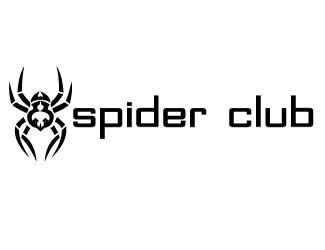 Projekt graficzny logo dla firmy online Spider