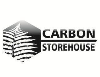 Projekt graficzny logo dla firmy online carbon