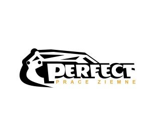 Projekt graficzny logo dla firmy online Perfect