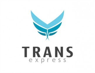 Projekt graficzny logo dla firmy online trans