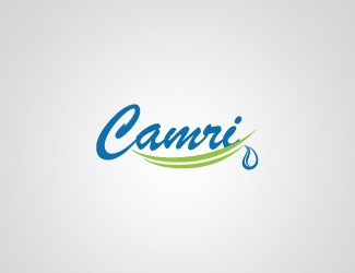 Projekt graficzny logo dla firmy online Camri