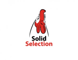 Projekt logo dla firmy solid selection | Projektowanie logo