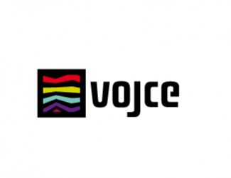 Projekt graficzny logo dla firmy online vojce