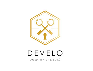 Projekt graficzny logo dla firmy online Develo