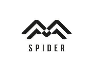 Projekt graficzny logo dla firmy online SPIDER
