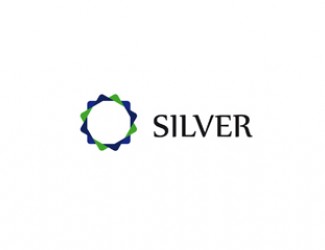 Projekt graficzny logo dla firmy online silver