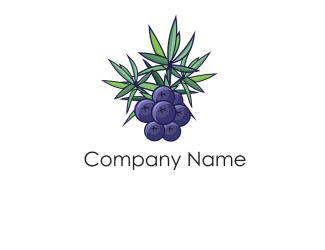 Projekt logo dla firmy Jagoda | Projektowanie logo