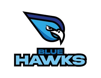 Projekt graficzny logo dla firmy online Blue Hawks