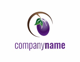Projekt graficzny logo dla firmy online śliwka