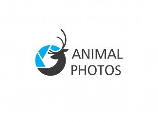 Projekt graficzny logo dla firmy online Animal photos